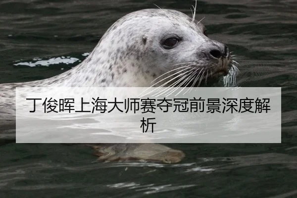 丁俊晖上海大师赛夺冠前景深度解析