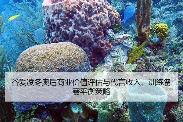 gu-ai-ling-dong-ao-hou-shang-ye-jia-zhi-ping-gu-yu-dai-yan-shou-ru-xun-lian-bei-sai-ping-heng-ce-lve-3-881.jpg