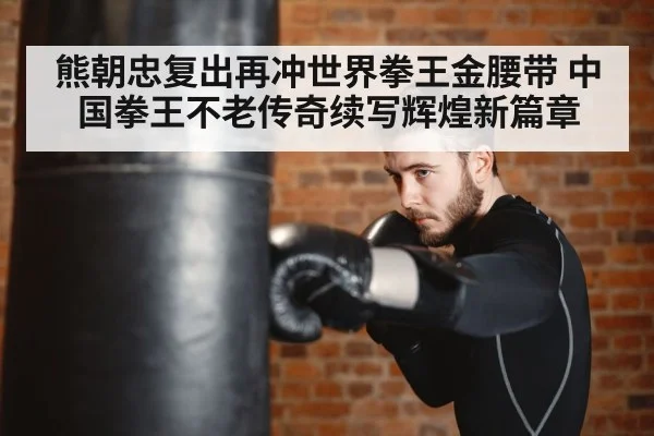熊朝忠复出再冲世界拳王金腰带 中国拳王不老传奇续写辉煌新篇章
