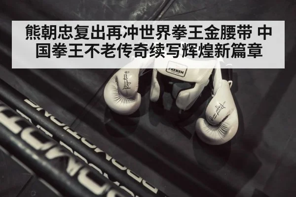 boxing ring gloves