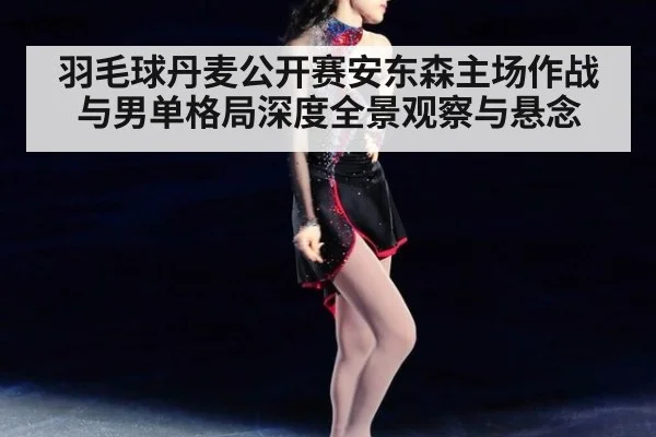 羽毛球丹麦公开赛安东森主场作战与男单格局深度全景观察与悬念